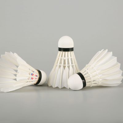 Wholesale goose feathers speed shuttlecock